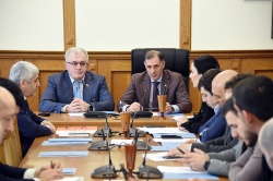 Заседание Комитета по культуре, делам молодежи, спорту и туризму 