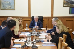 В Народном Собрании обсудили критерии предоставления земли под масштабные инвестиционные проекты